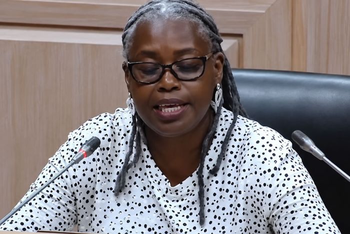 UNITA CHUMBA LEI CONTRA “FAKE NEWS” E DENUNCIA RISCO DE PERSEGUIÇÃO POLÍTICA
